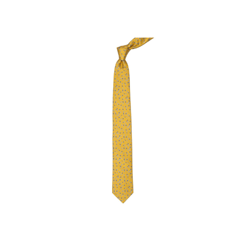 Aura Stuff Elegant Dress Necktie for Formal & Business Wear