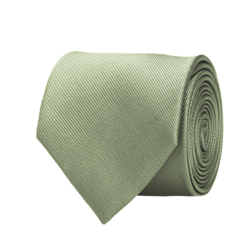 Aura Stuff Light Sage Green Neck Tie for Men