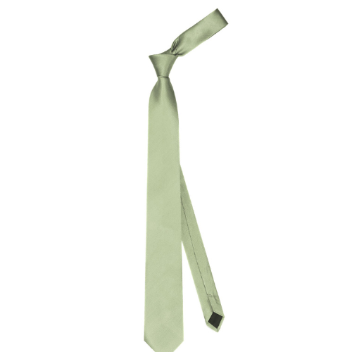 Aura Stuff Light Sage Green Neck Tie for Men